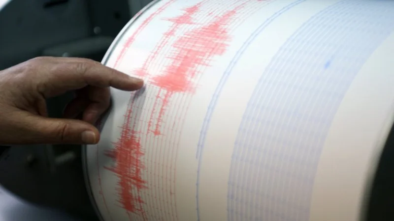 1708060819 768x432 1