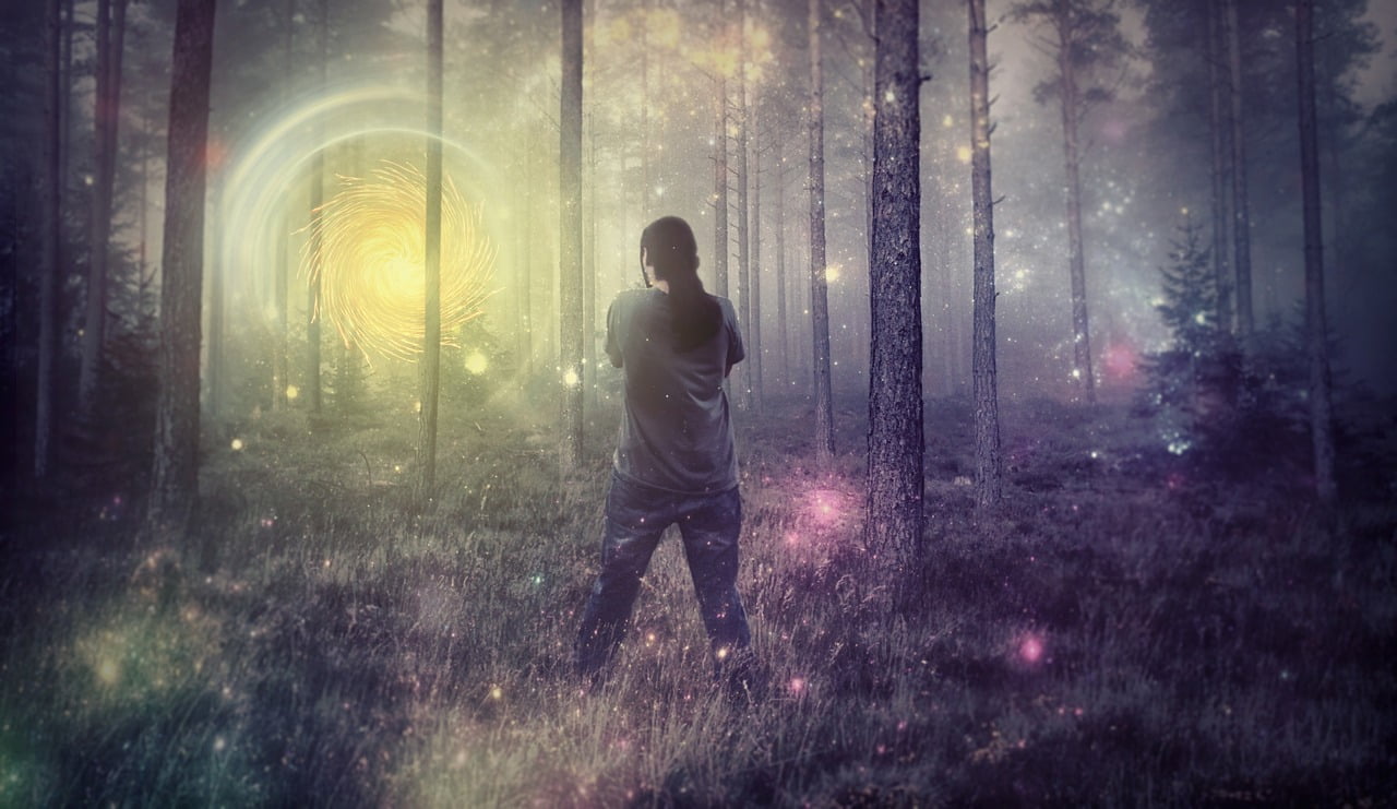 forest 764924 1280
