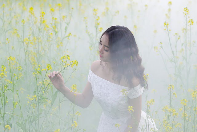 meadow 3050075 640