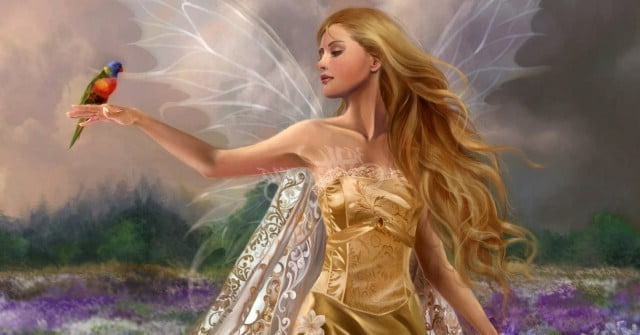 news53097
