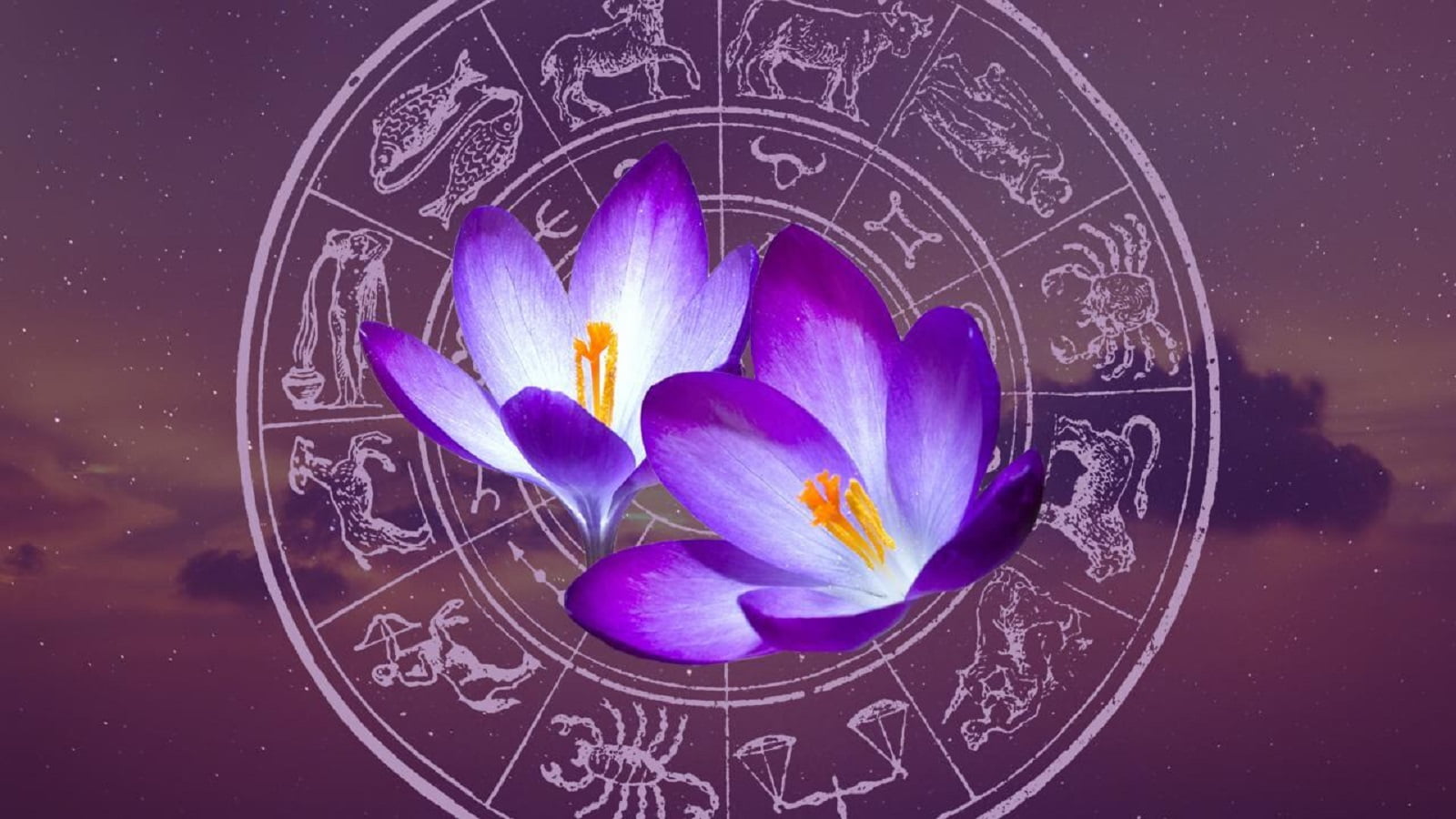 spring horoscope