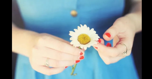 m 8efe6eacca3fb4b473a2aee49d9f2cd4