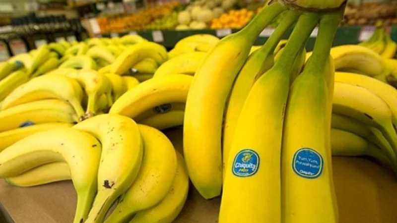 1719748356 banani