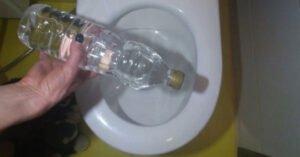 m 98cd2e5649453d0c1e56482a48cb3bb0