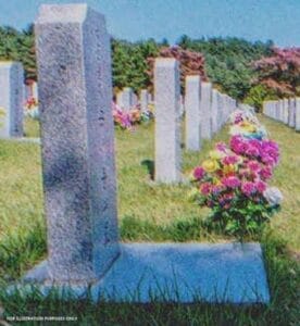 Бренда разкрива шокиращи истини за снаха си, която инсценира смъртта си, за да избяга с милиони. История за измами и семейни загадки.