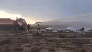 1735133407 a