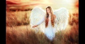 m ed814bf86d7fb8a5caab50d10123f4f0