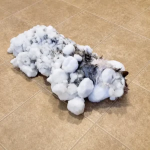 41 1