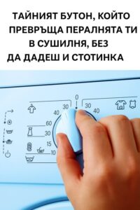 592250217 122173931156593989 6214171858288763311 n