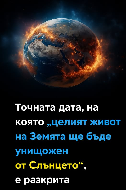 728143615 1450082417138608 2429977778500517026 n