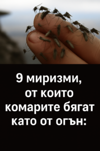 chatgpt image 11.07.2025 g. 15 19 58