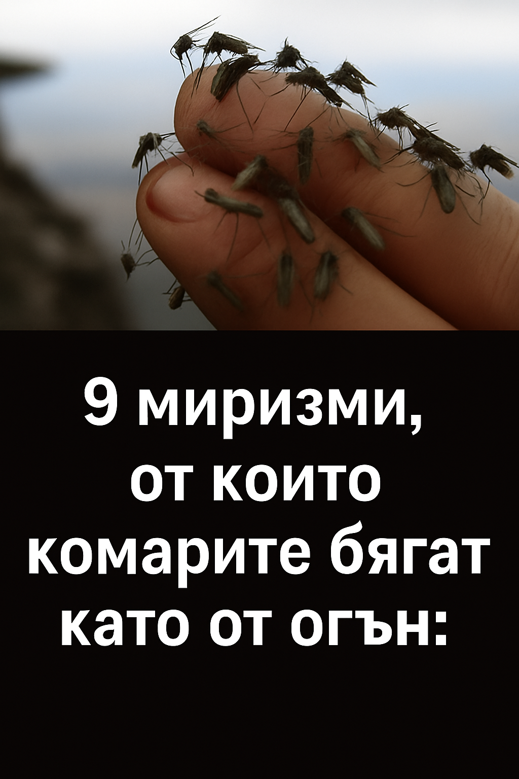 chatgpt image 11.07.2025 g. 15 19 58