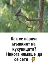 chatgpt image 27.07.2025 g. 14 30 06