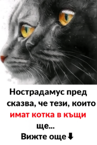 chatgpt image 7.07.2025 g. 18 21 18