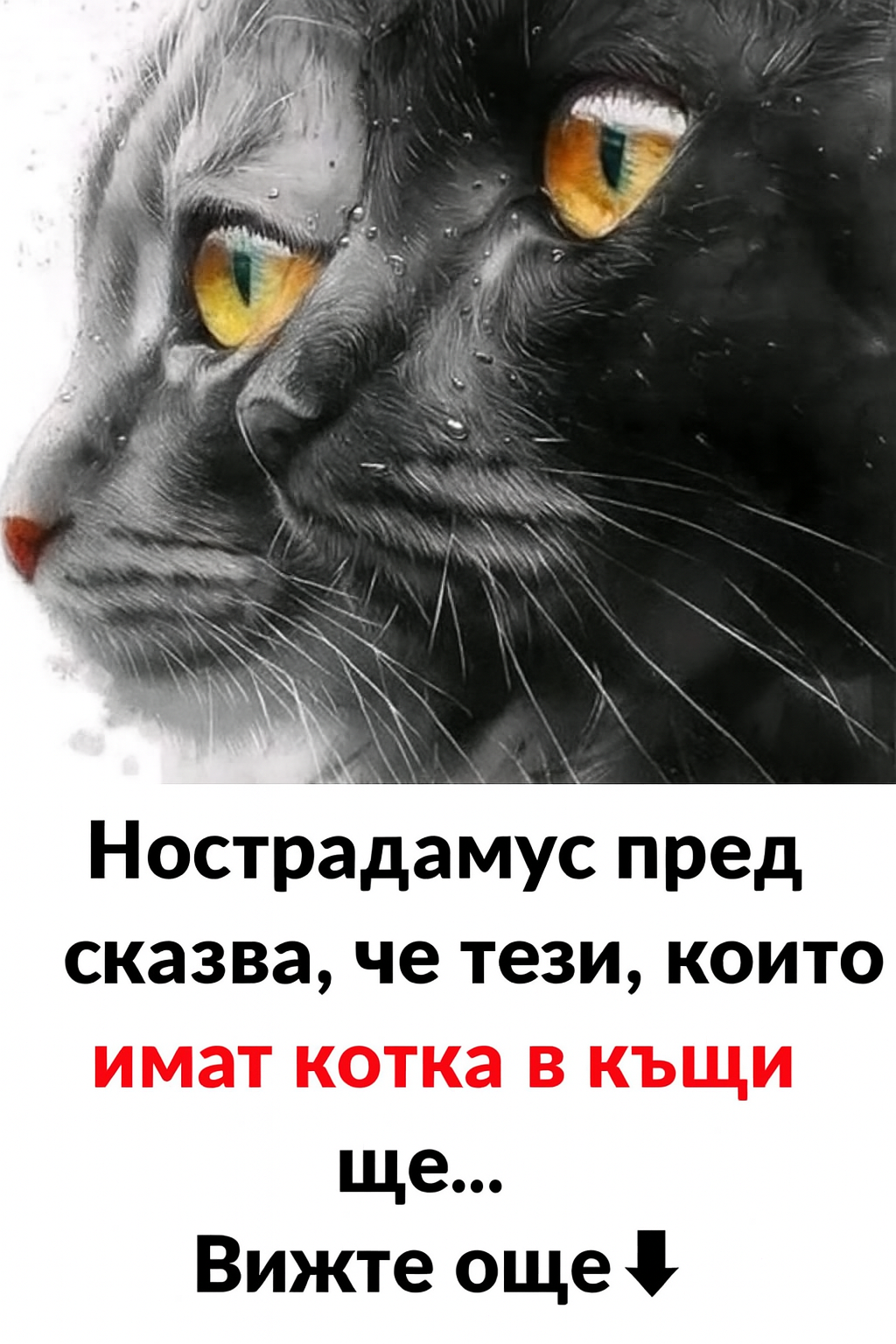 chatgpt image 7.07.2025 g. 18 21 18