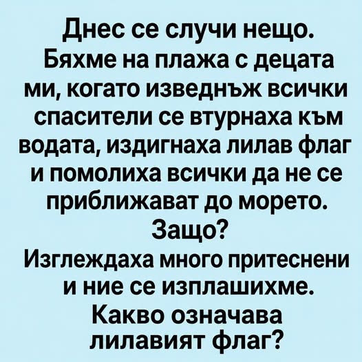 Бяхме на плажа с децата ми, когато изведнъж всички спасители се втурнаха към водата, издигнаха лилав флаг и помолиха всички да не се приближават до морето. 👇 3 749301402 1731879111250347 921960966147586743 n