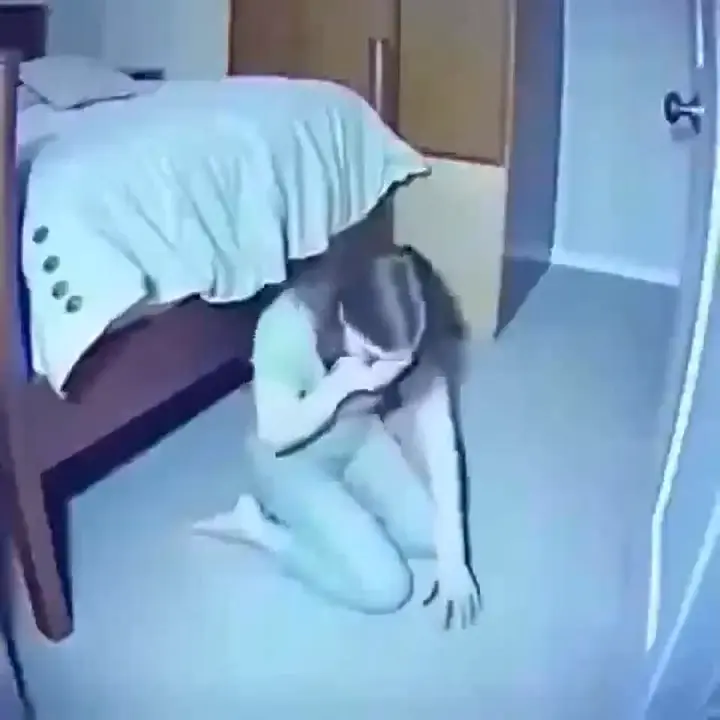 videoframe 943